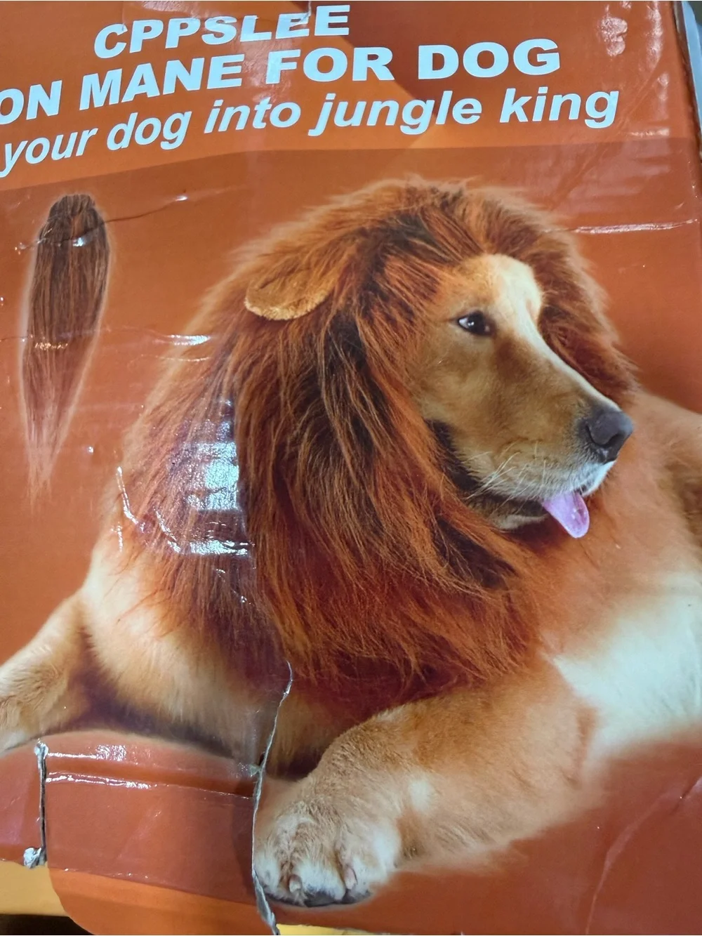 Dog Lion Mane Costume - Brown